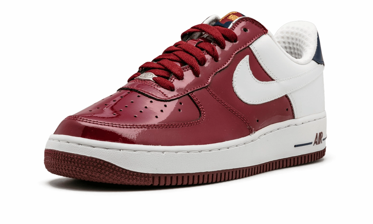 Air Force 1 Premium "LeBron" Easy Dressing Root Hike