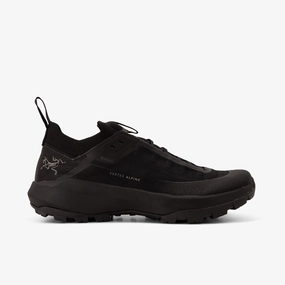 Arc'teryx Vertex Alpine GORE-TEX / Black / Black Saucony PowerGrid Molded Arch Cradle