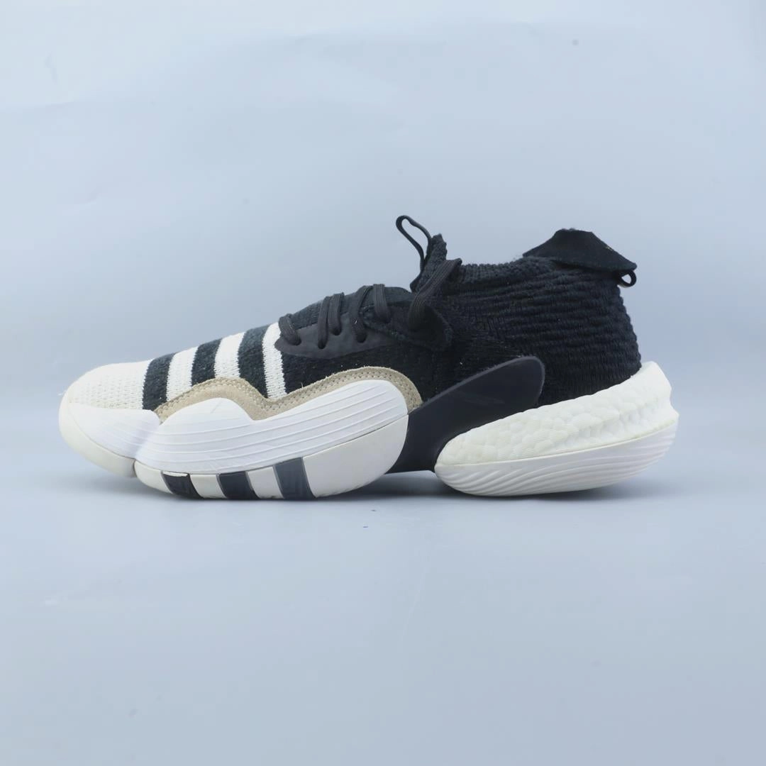 Light Diffusion Reflective ADIDAS  TRAE YOUNG 2.0