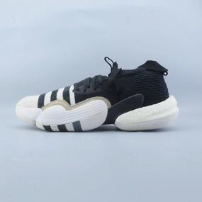 Light Diffusion Reflective ADIDAS  TRAE YOUNG 2.0