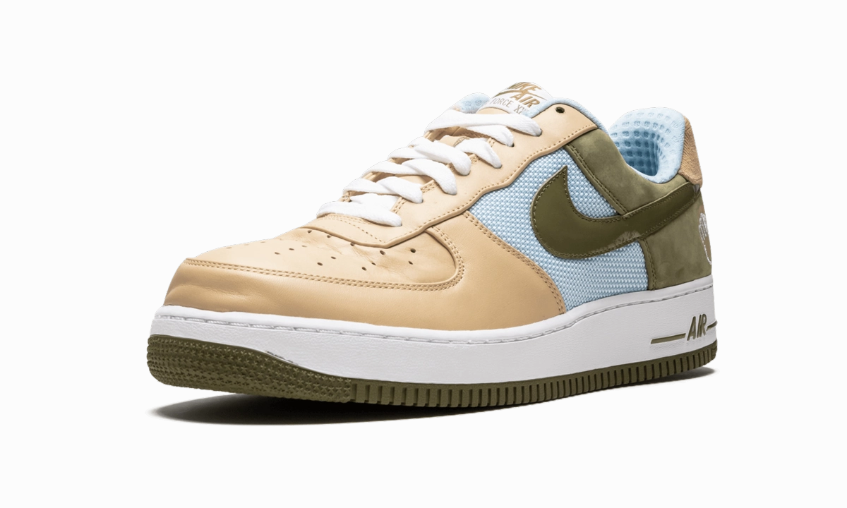 day trip Air Force 1 Premium '07 "Bobbito"