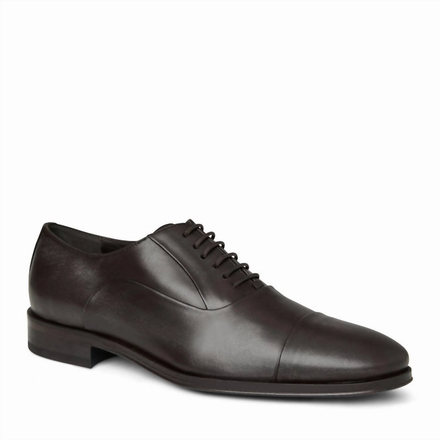 Men's Maioco Lace-Up Dress Shoes In Dark Brown Refined Style Tailoring Fan