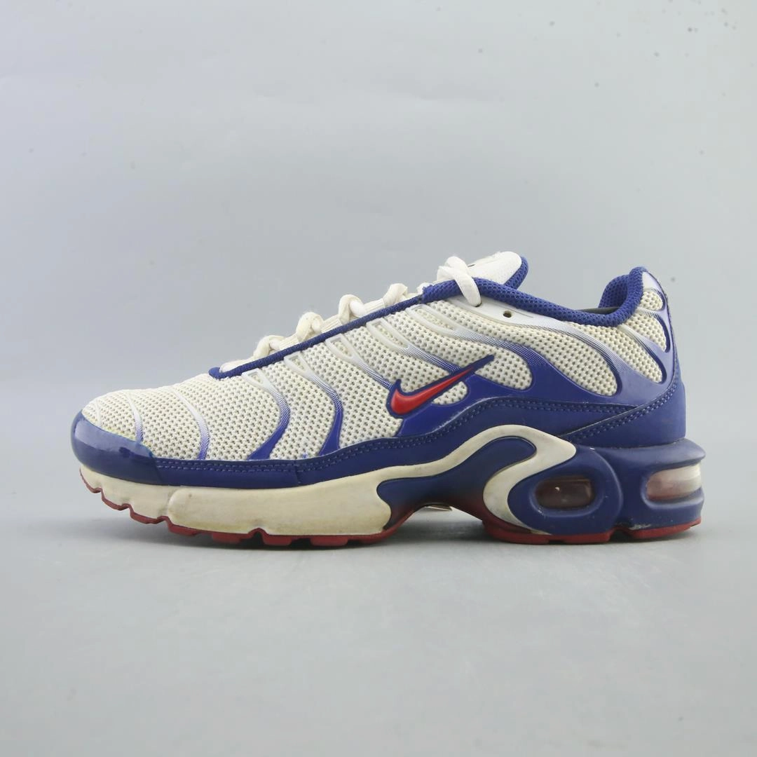 Marathon Gear NIKE AIR MAX PLUS TN